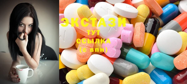 ECSTASY Бородино